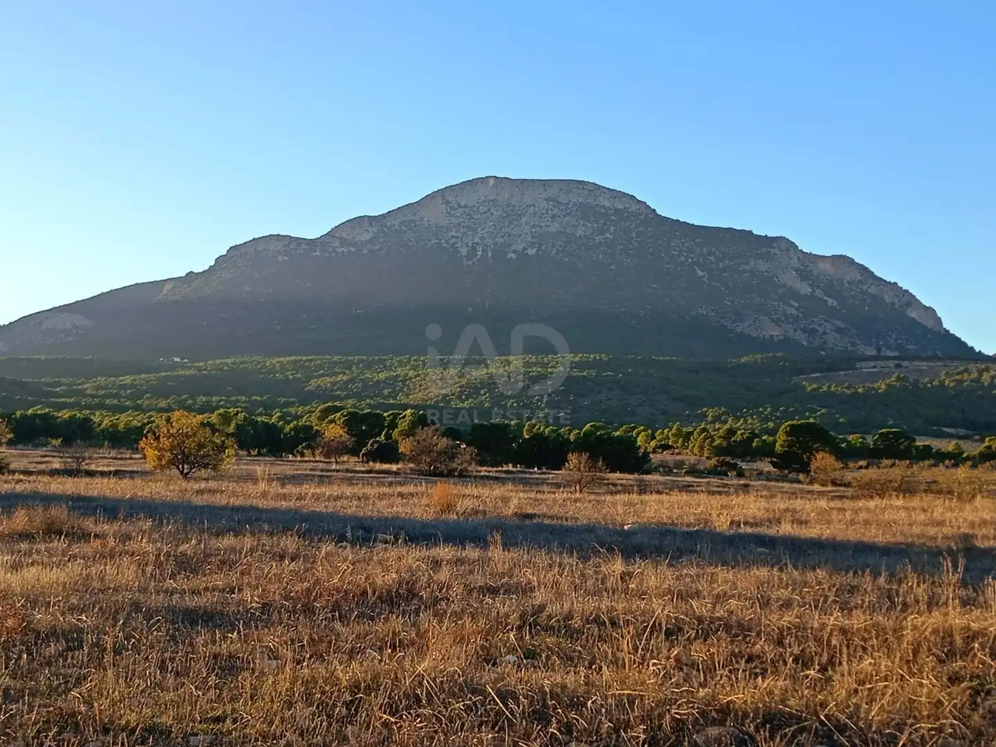 Terreno en venta en Lorca