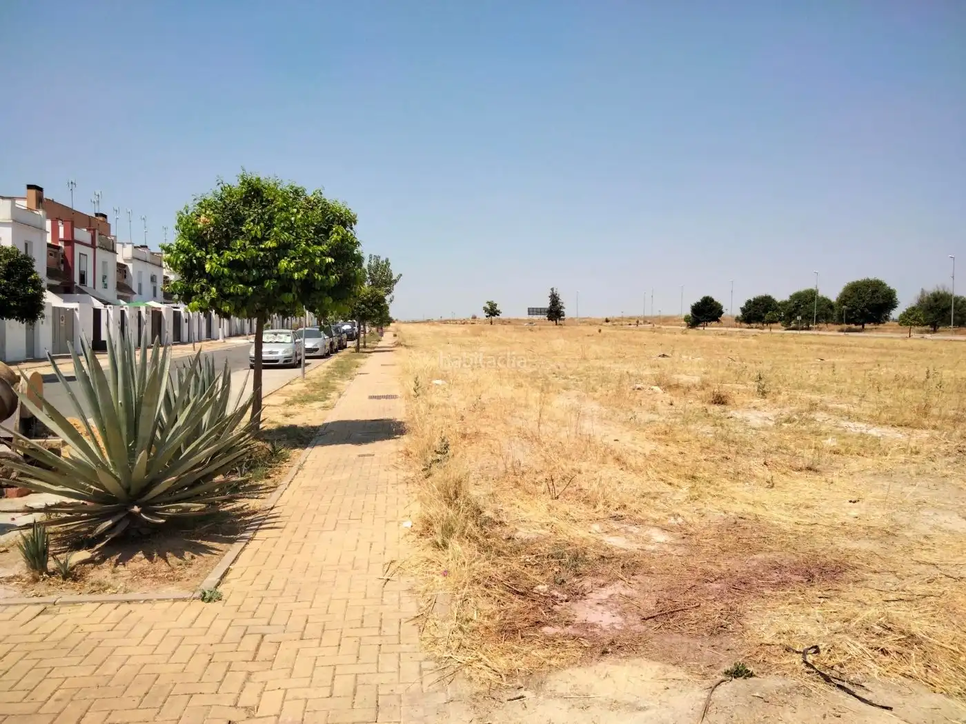 Terreny residencial en venda a Calle Rosa Chacel 24, imagen 7