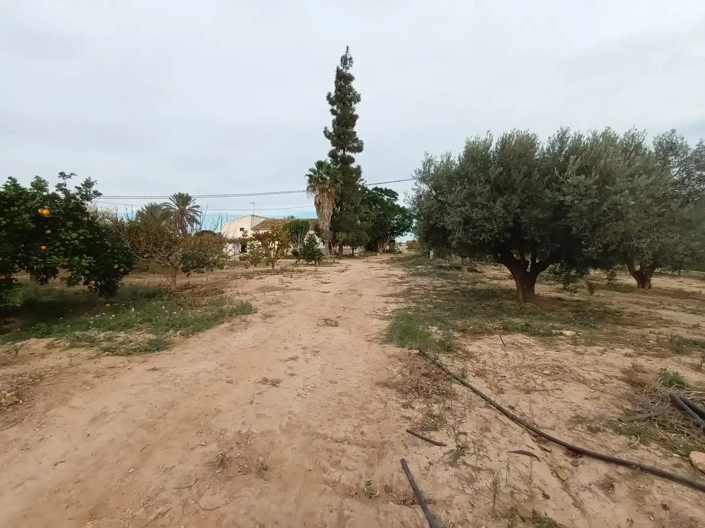 Houses for sale in Torre-Pacheco  with Storage room