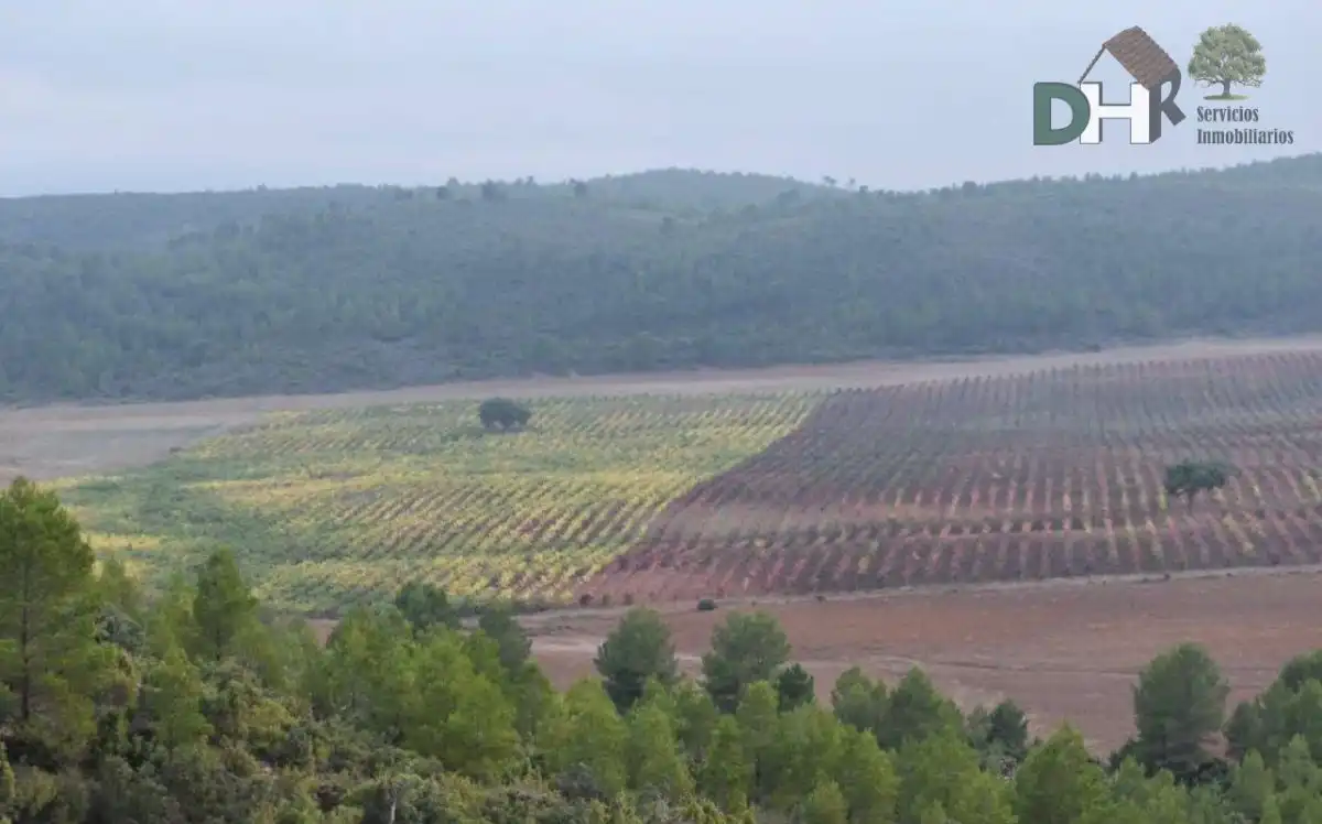 Terreni e lotti in vendita a San Fernando - Carretera de Valencia, imagen 4