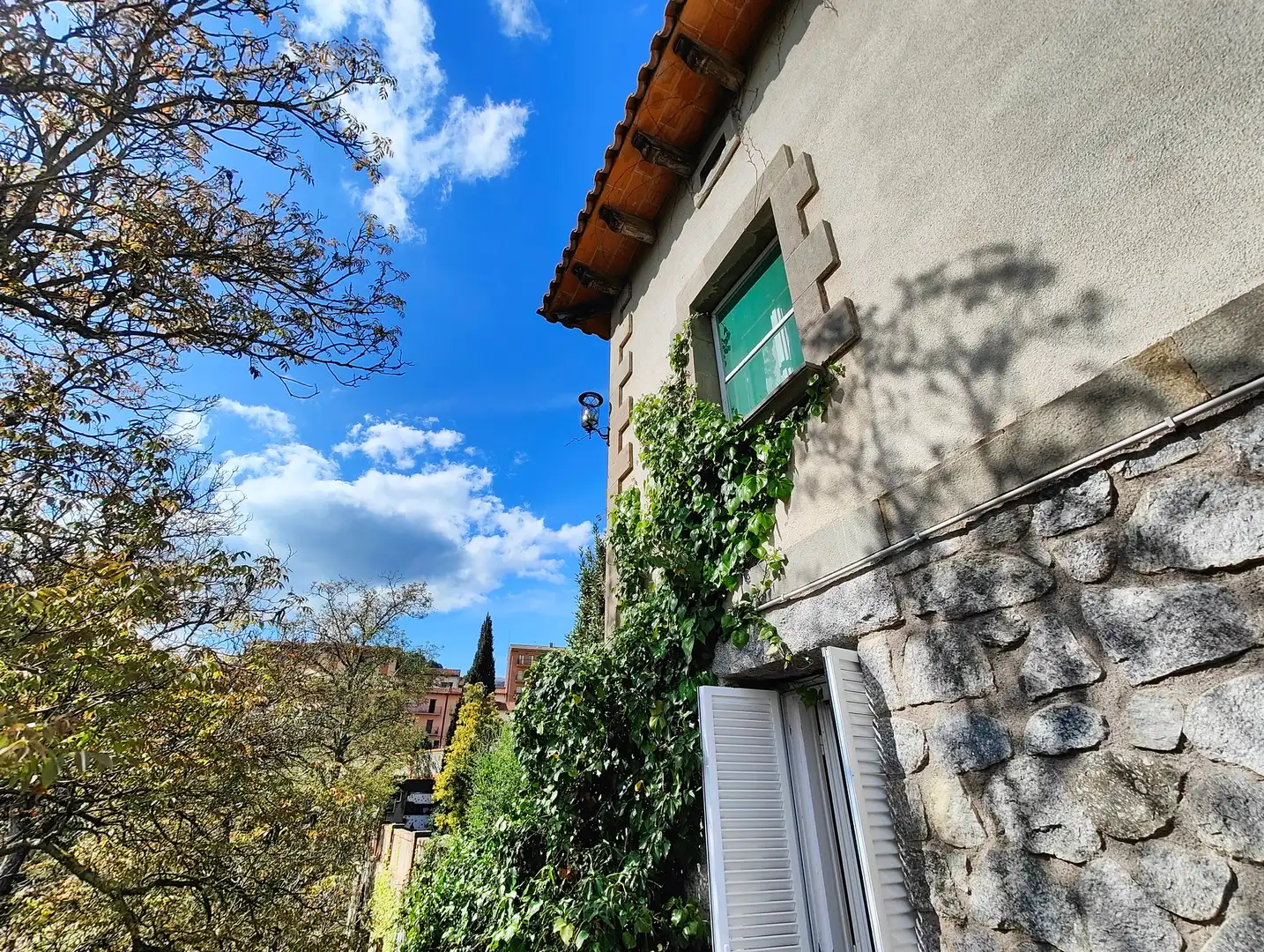 Vista exterior de Casa o xalet en venda en Sant Joan de les Abadesses amb Calefacció, Jardí privat i Terrassa