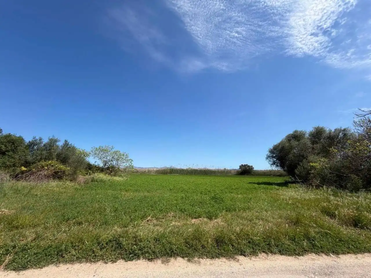Terrain rustique à vendre à Muro, imagen 2