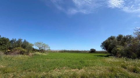 finca rustica en venta, immagine 2