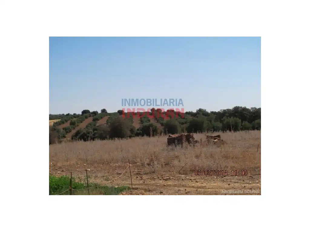 Finca rústica en venda en Almedina