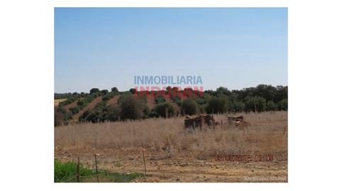 Foto 5 de Casa o xalet en venda a Almedina, Ciudad Real