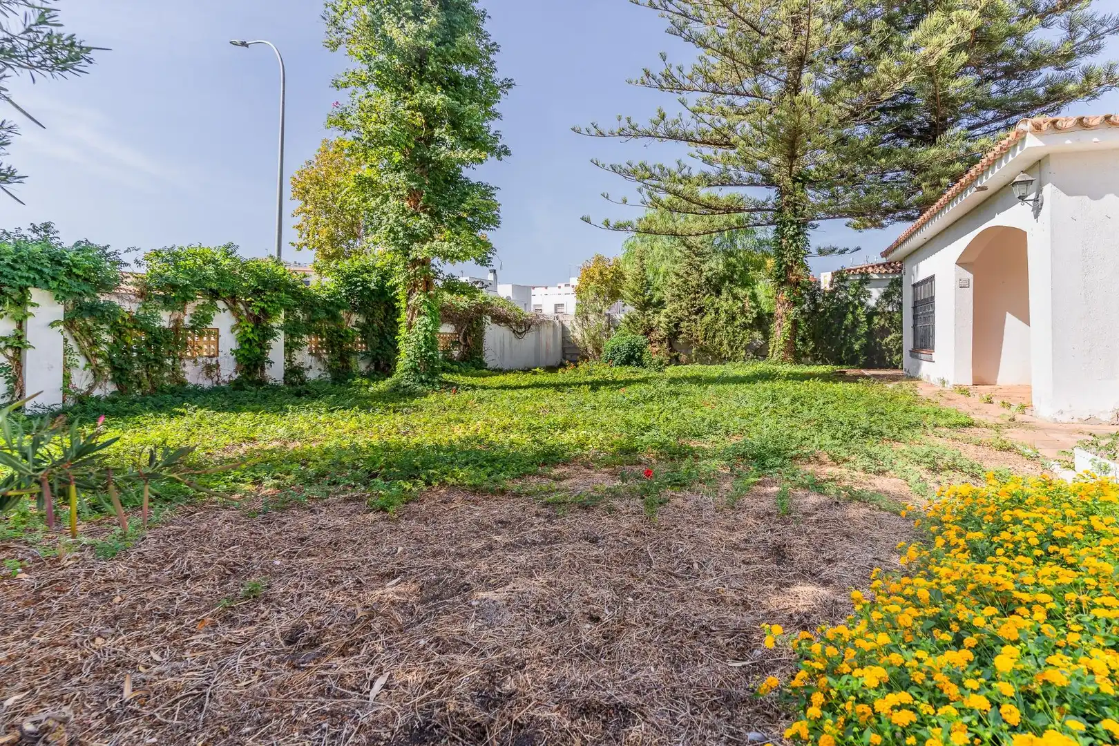 Casa o xalet en venda en Crevillet - Pinar Alto