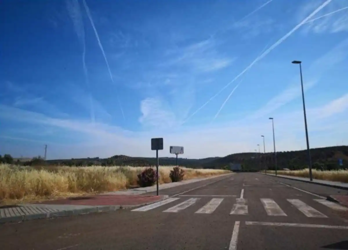 Vista exterior de Terreno industrial en venta en Carboneros