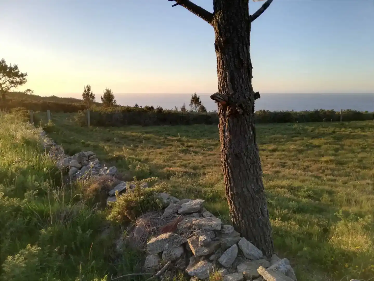 Finca rústica en venda en Tordoia