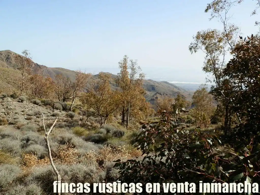 Terreny rústic en venda a Pechina, imagen 18