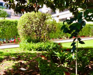 Garden of Flat to rent in  Madrid Capital  with Air Conditioner, Heating and Private garden