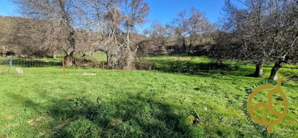 Grundstücke zum Verkauf in San Pablo de los Montes
