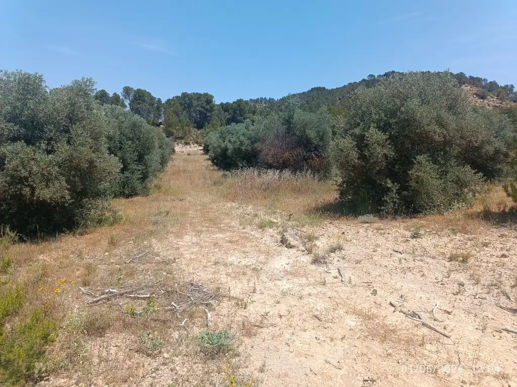 Rural land for sale in N/A, imagen 3
