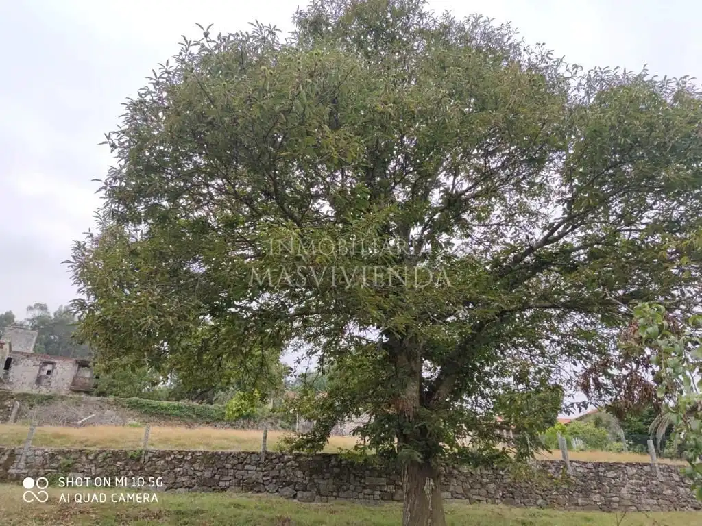 Casa o xalet en venda en Moraña amb Calefacció i Jardí privat