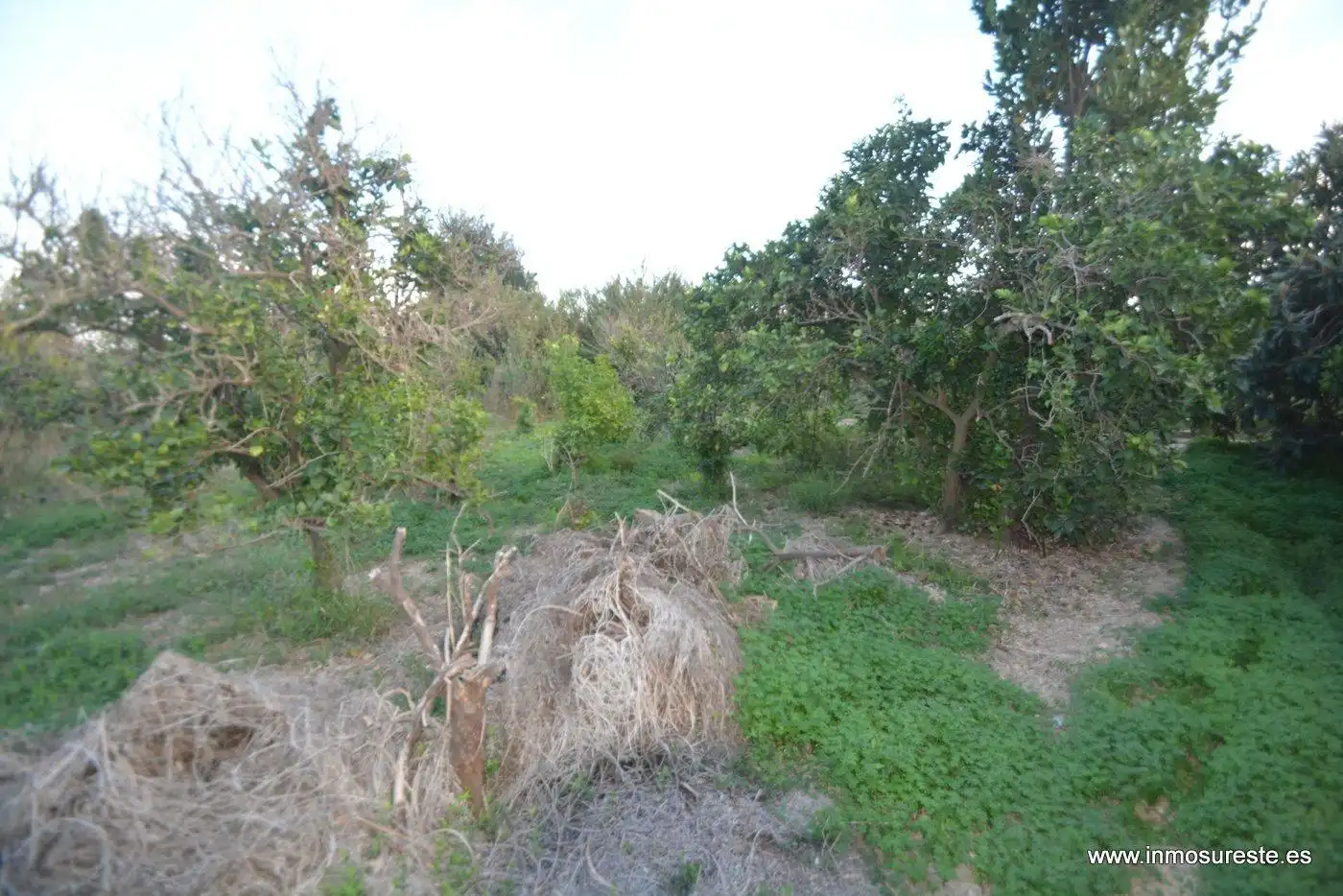 Casa o xalet en venda en Orihuela amb Terrassa