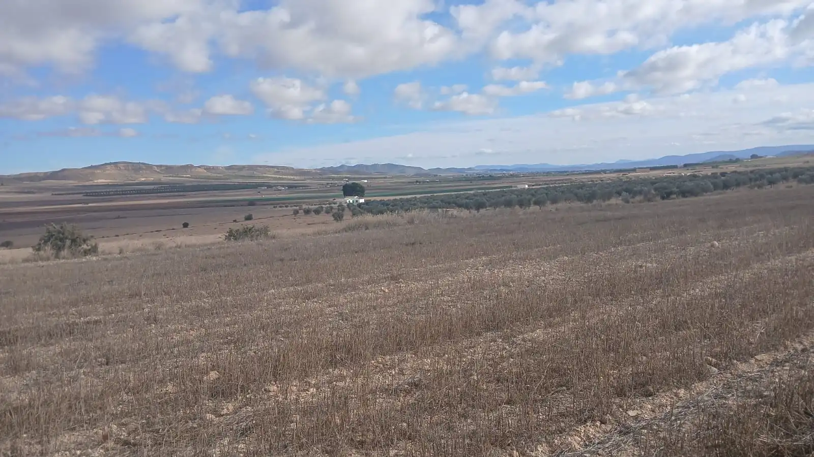 Residential land for sale in Yecla, imagen 19