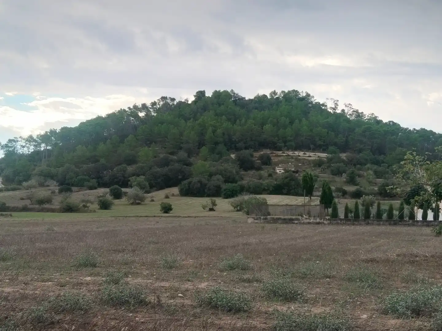Terreno rustico in vendita a Sineu, imagen 3