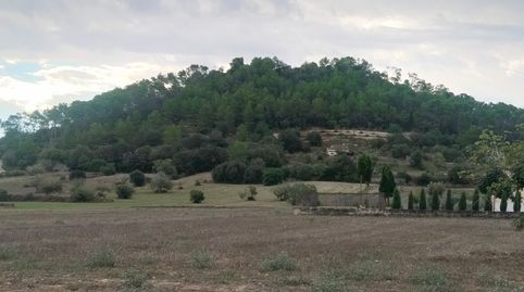 Foto 3 de Terreno en venta en Sineu, Illes Balears