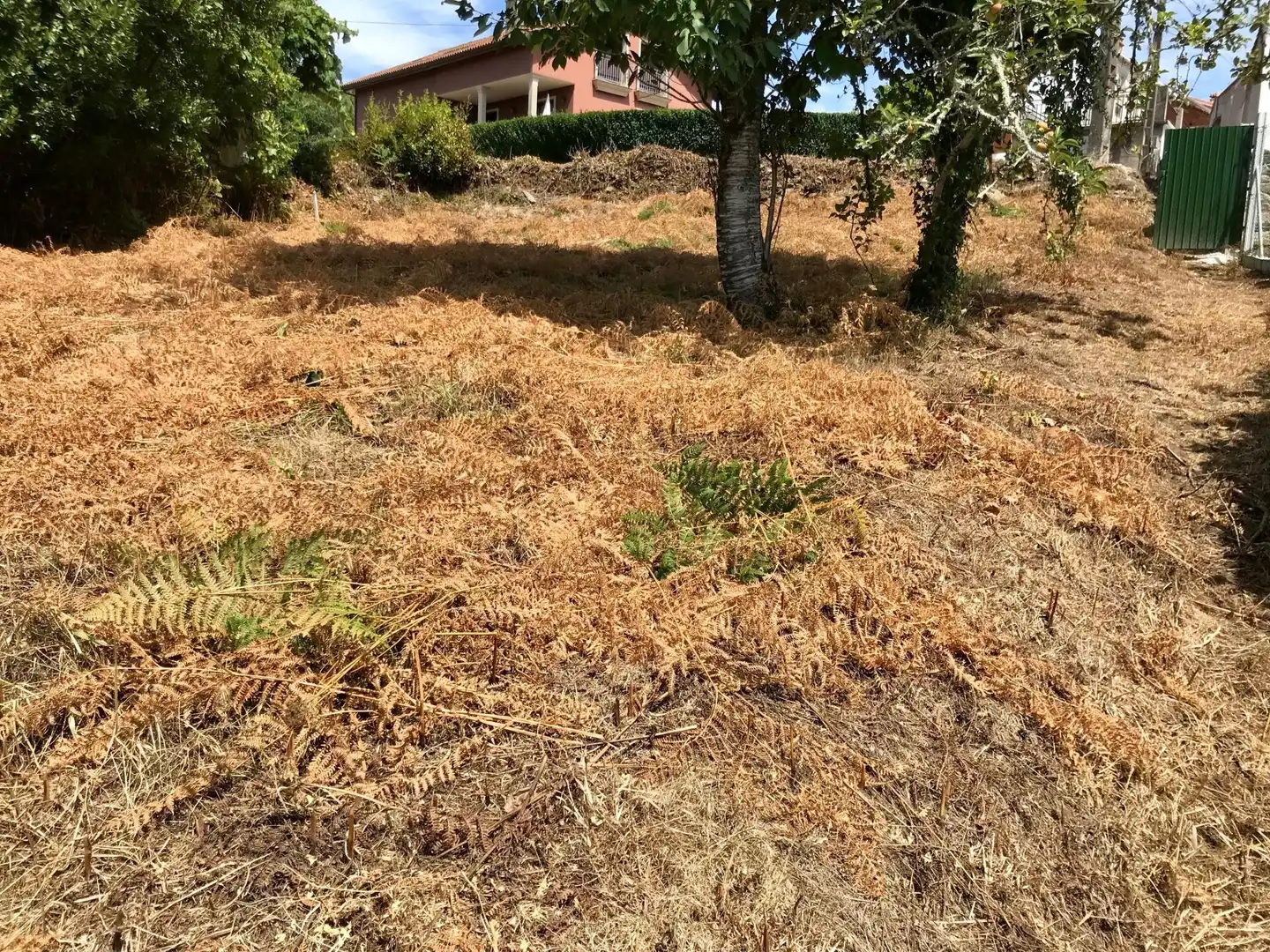 Finca rústica en venda en Noia
