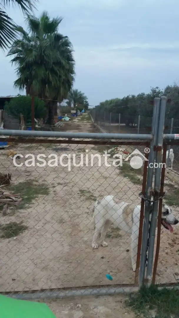 Terreni e lotti in vendita a Partida Santa Agueda, imagen 5