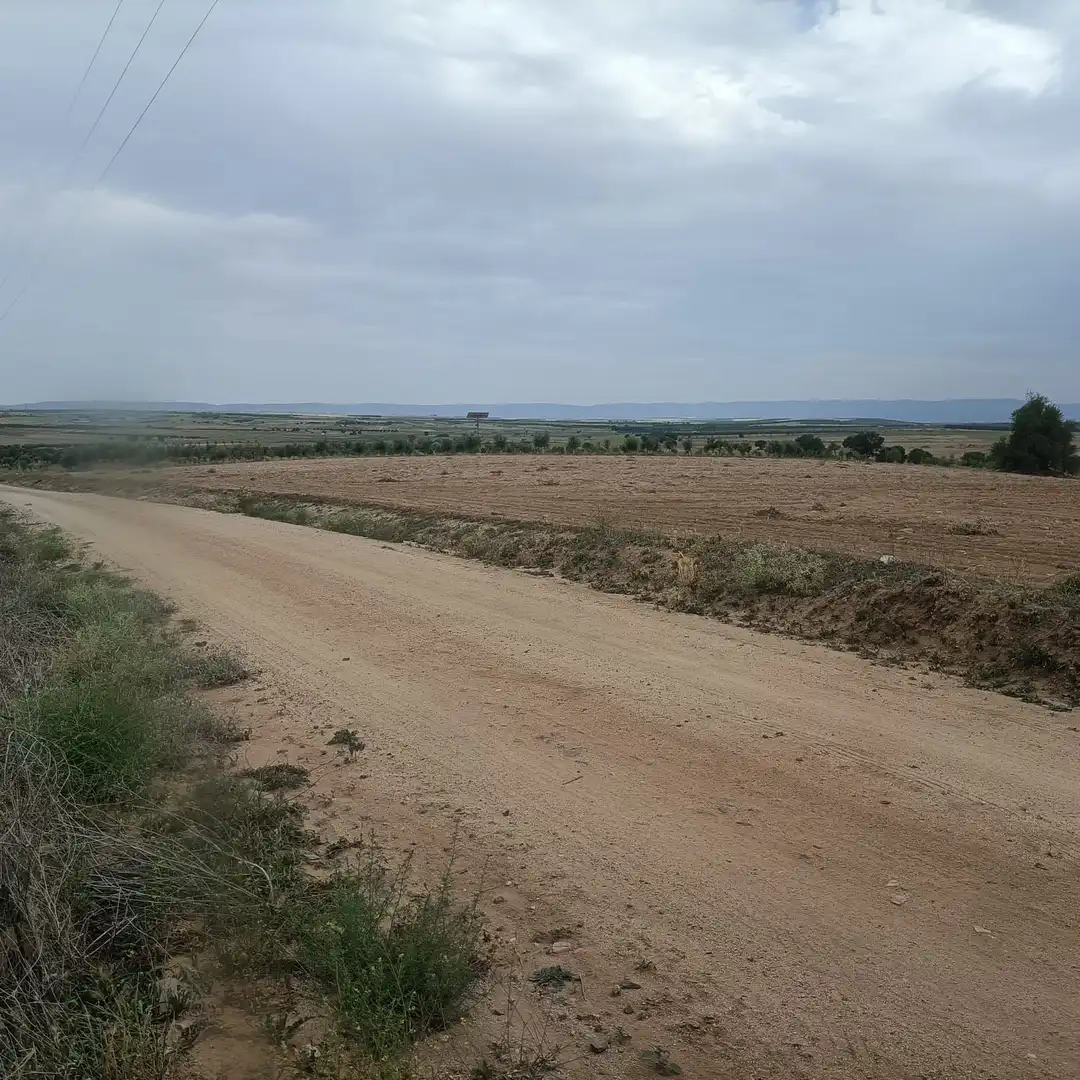 Terreno rustico in vendita a Nambroca, imagen 4