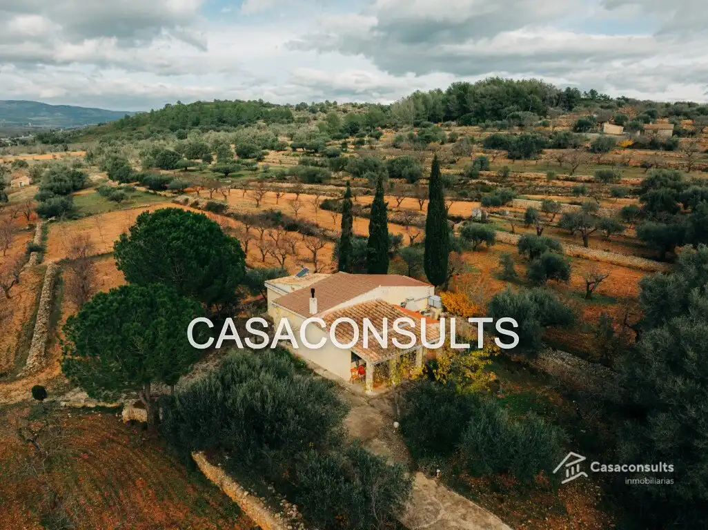 Casa rustica con terrazza in vendita a Vilanova d'Alcolea, imagen 23