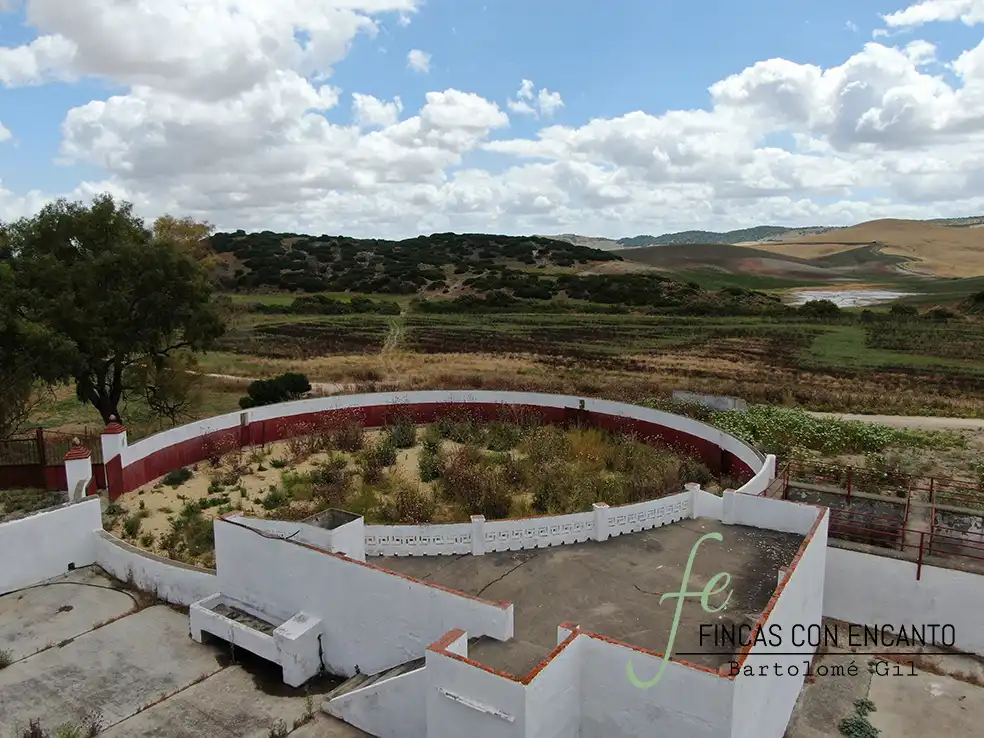 Country homes for sale in Espera