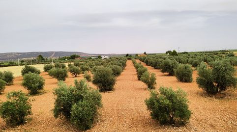 Finca Rúst. en venta en Carretera Moral., imatge 5