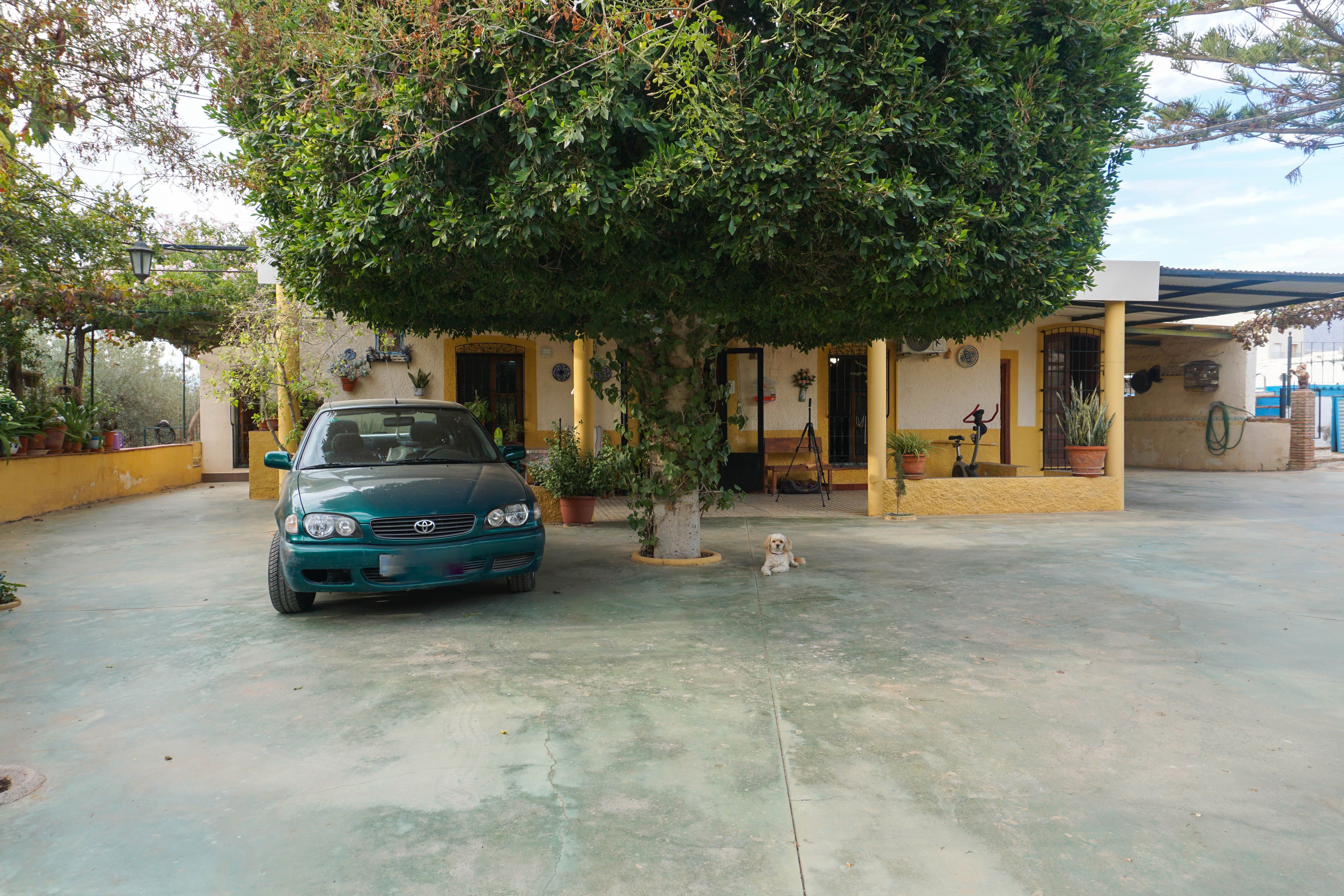 Finca rústica en venda a Paseo de la Iglesia, 22, Pechina