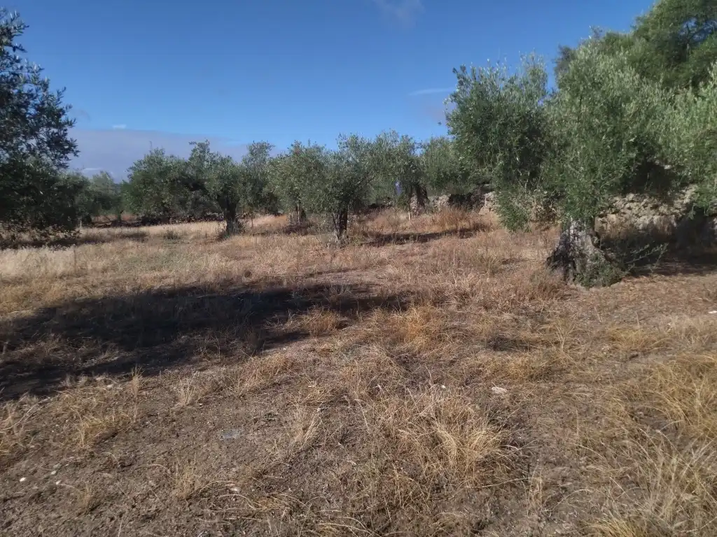 Terreni e lotti in vendita a Arroyomolinos (Cáceres), imagen 6