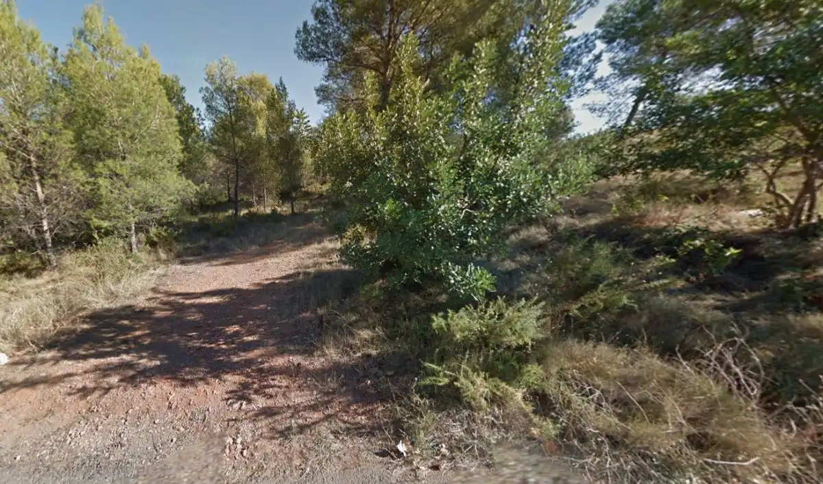 Rural land for sale in Onda, imagen 7