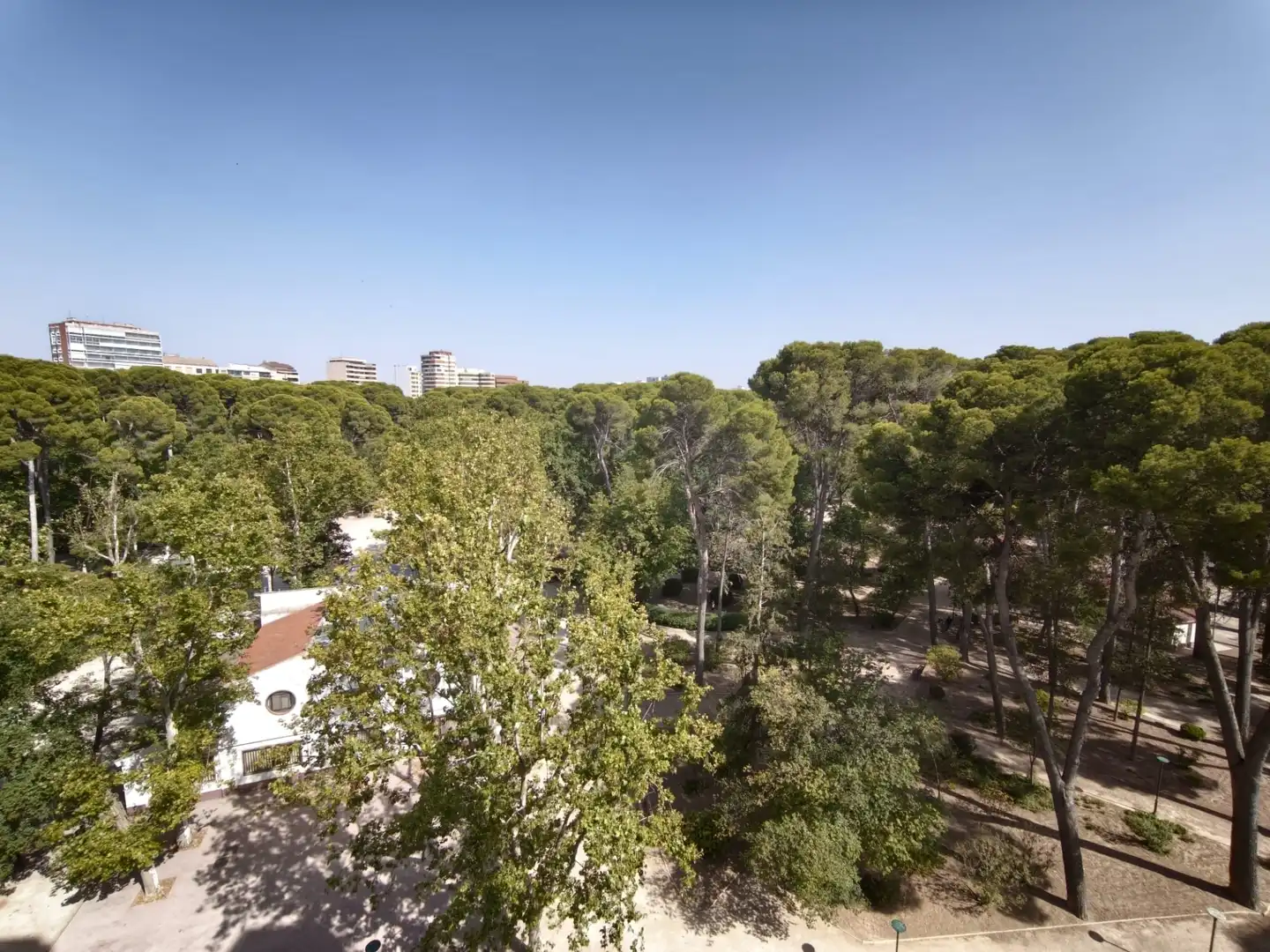 Appartamento con ascensore in vendita a Paseo Pedro Simón Abril, imagen 2