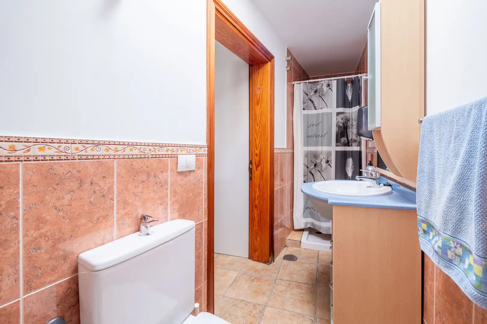 Bany de Casa o xalet en venda en Moya (Las Palmas) amb Jardí privat, Terrassa i Traster