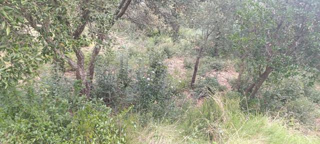 Terreno residencial en Venta en Fogars de la Selva