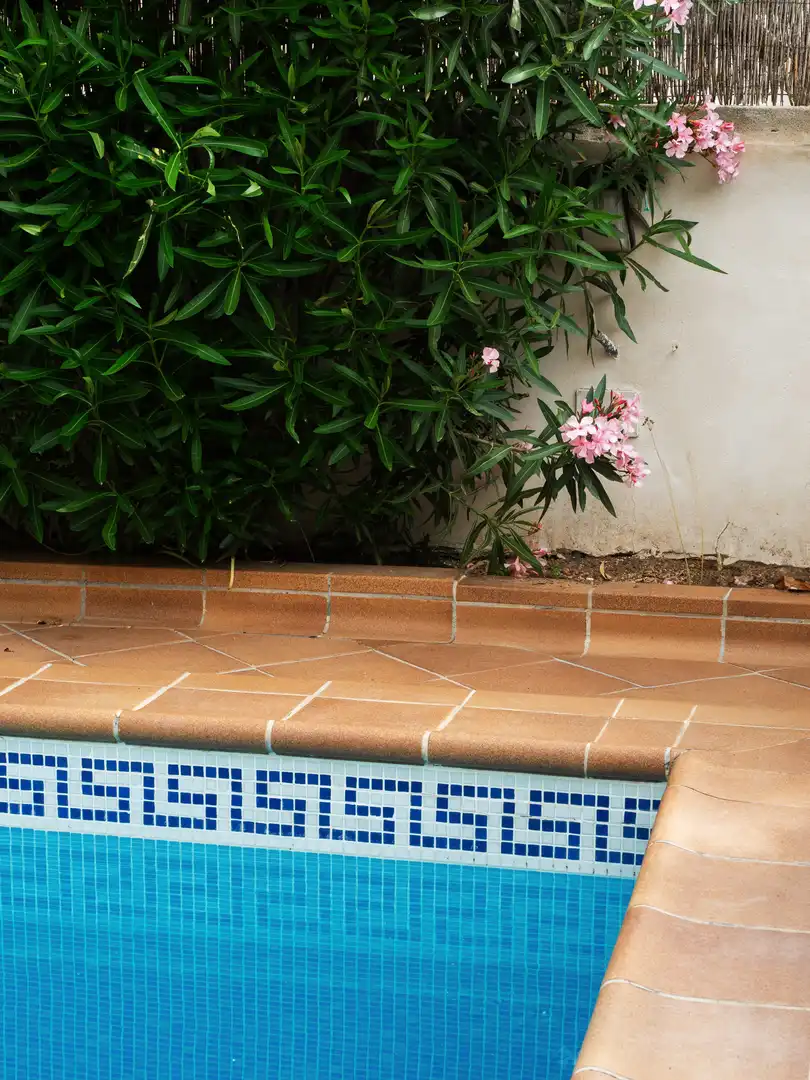 House with pool for sale in RECTOR VIVES 25, imagen 27