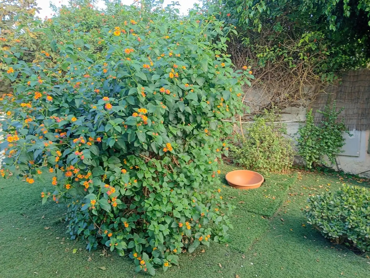 Jardín de Casa o chalet en venta en Churriana