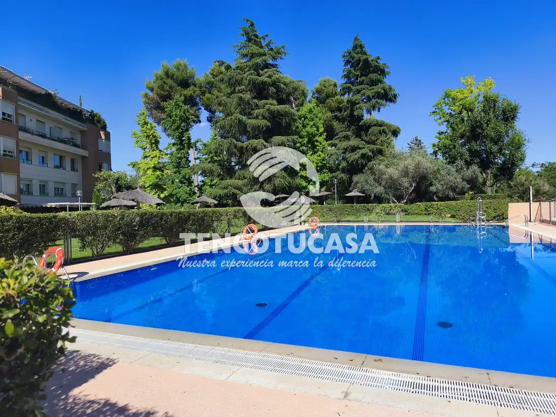 Swimming pool of Flat for rent in Madrid  with Air Conditioner, Heating and Terrace