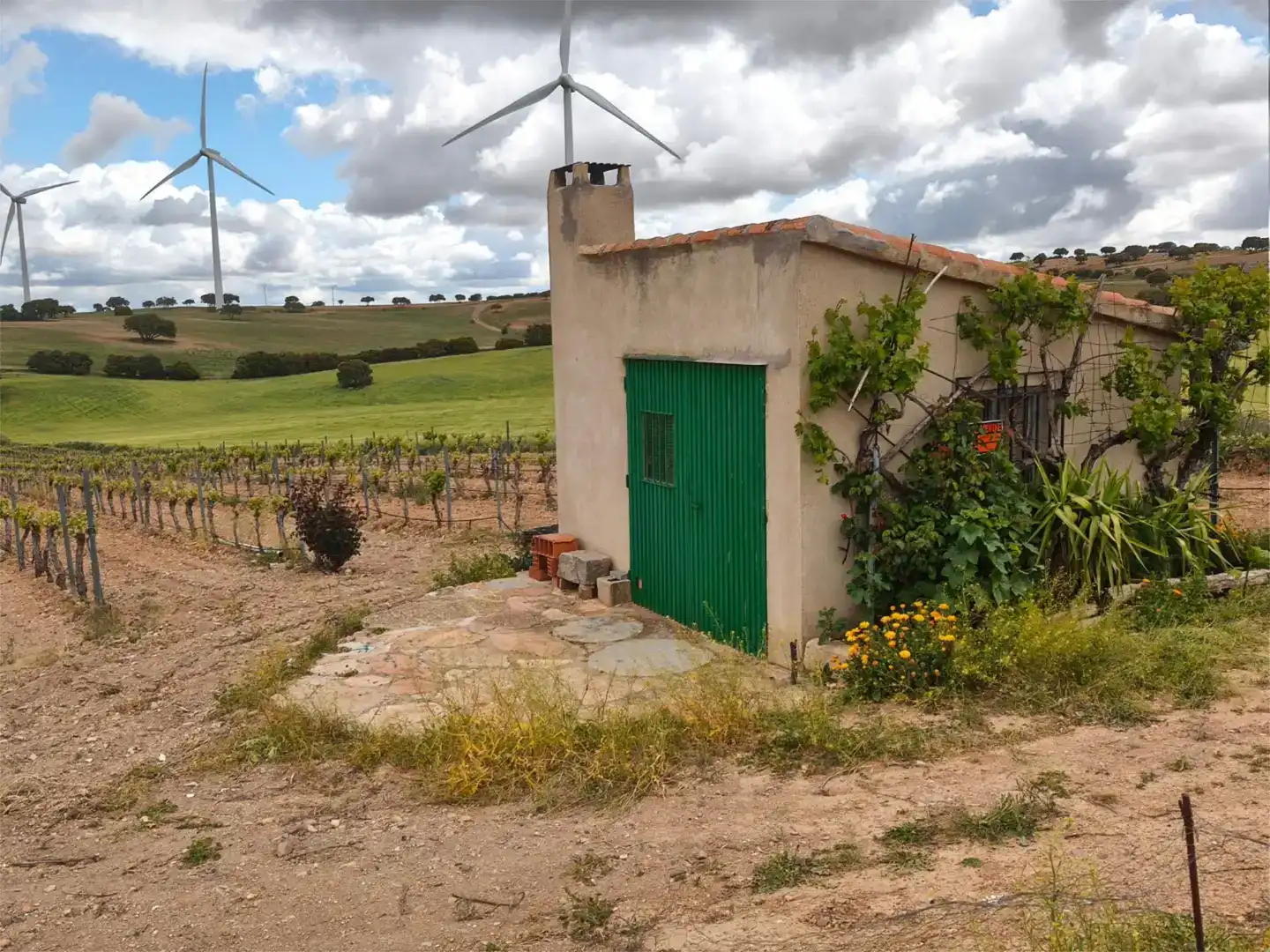 Land for sale in Munera