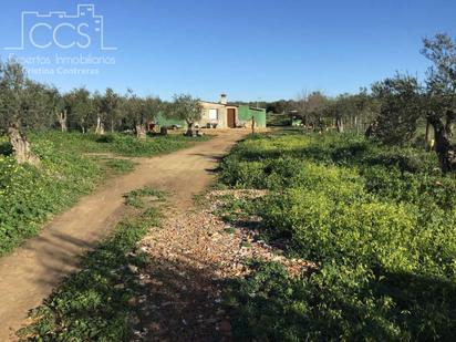 Finca rústica en venda en Pilas amb Aire condicionat