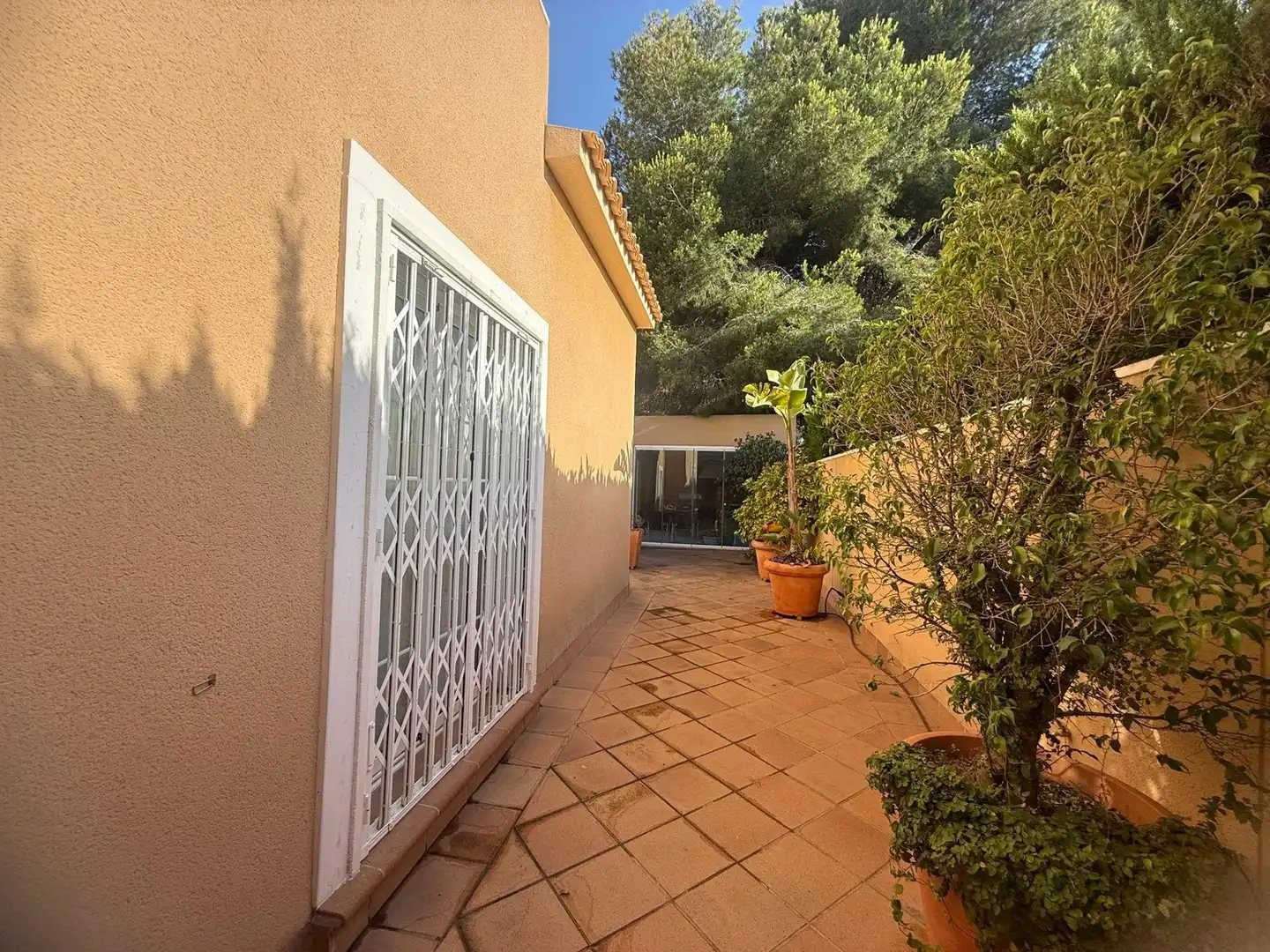 Jardí de Finca rústica en venda en Orihuela amb Jardí privat, Piscina i Piscina comunitària