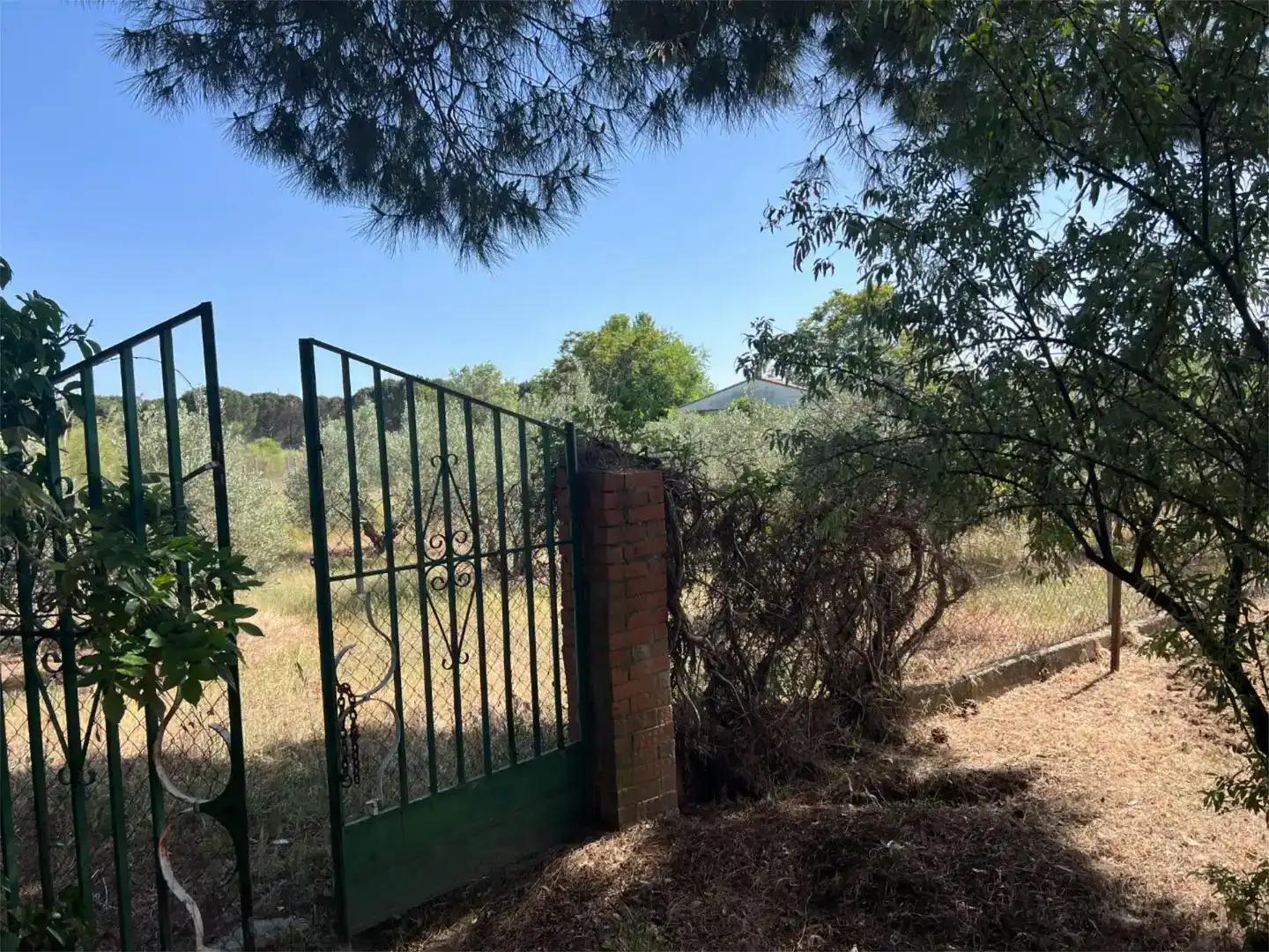 Finca rústica en venda en Santa Cruz del Retamar amb Piscina