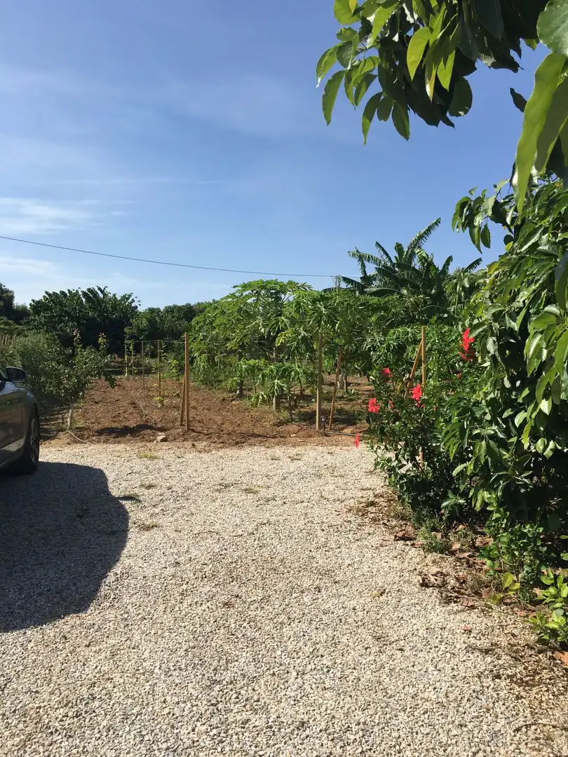 Casa rústica en venda a Monte los Almendros - El Pargo - Costa Aguilera, imagen 37