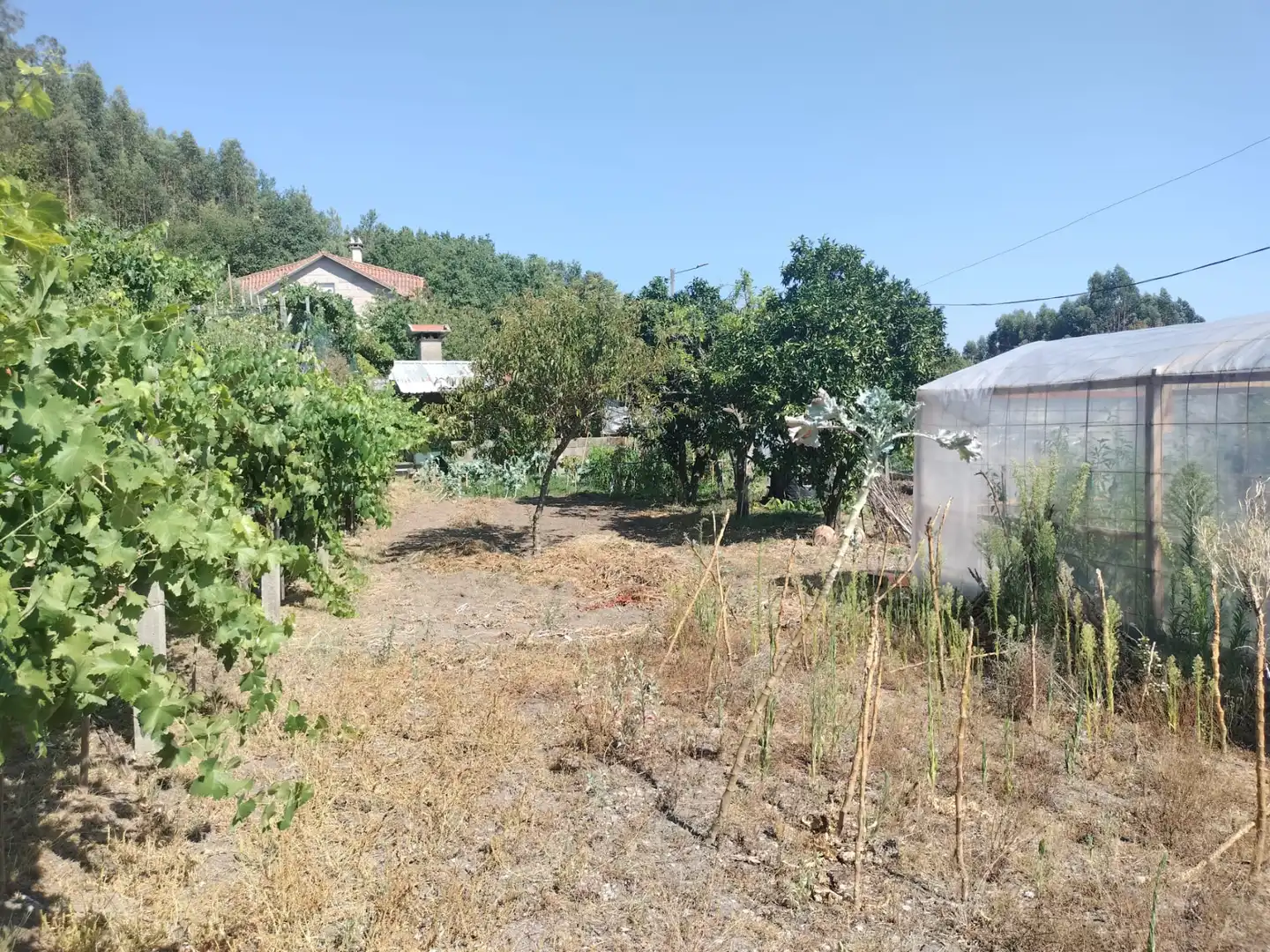Casa en venta en A Cañiza, imagen 2