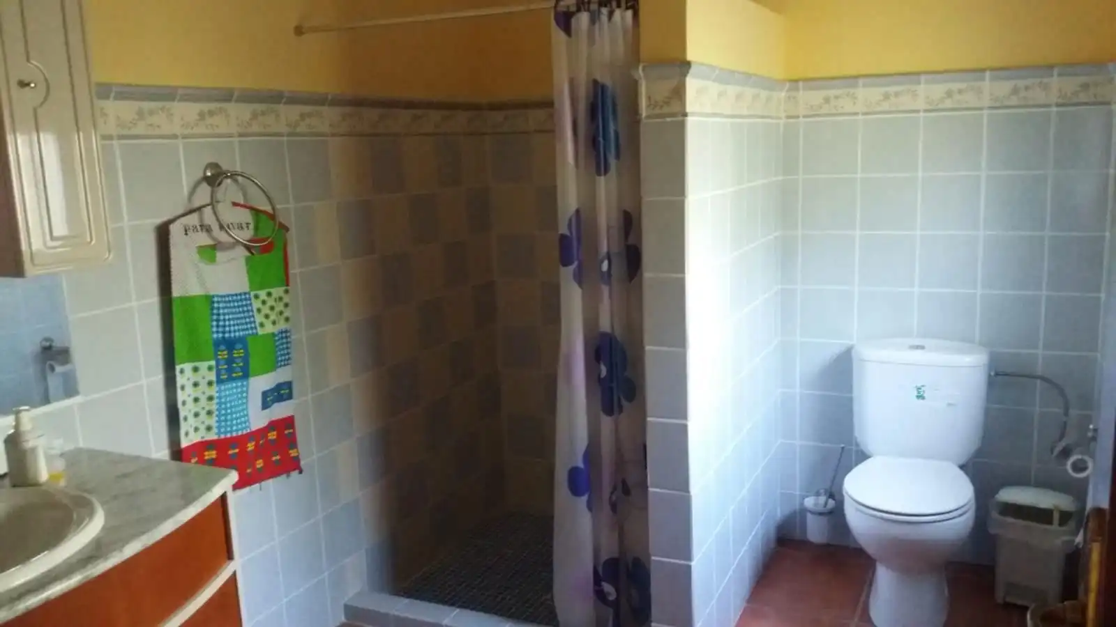 Baño de Casa o chalet en venta en Úbeda con Jardín privado y Piscina