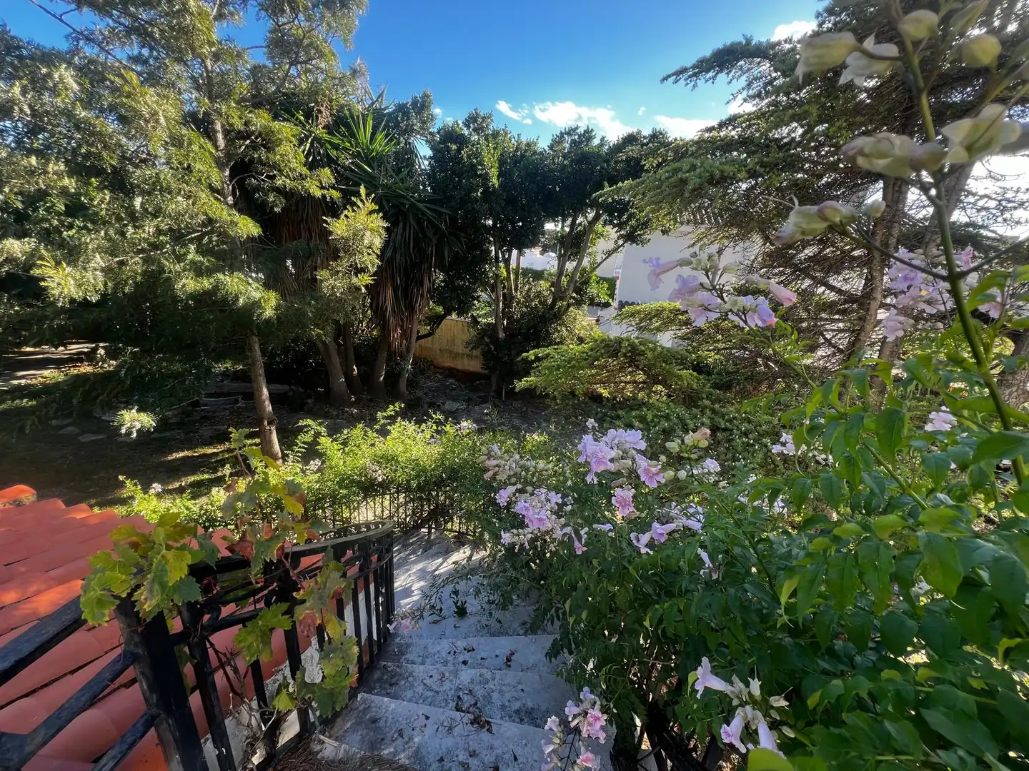 Casa con jardín en venta en Carrer de Plácido Hidalgo Castro, imagen 14
