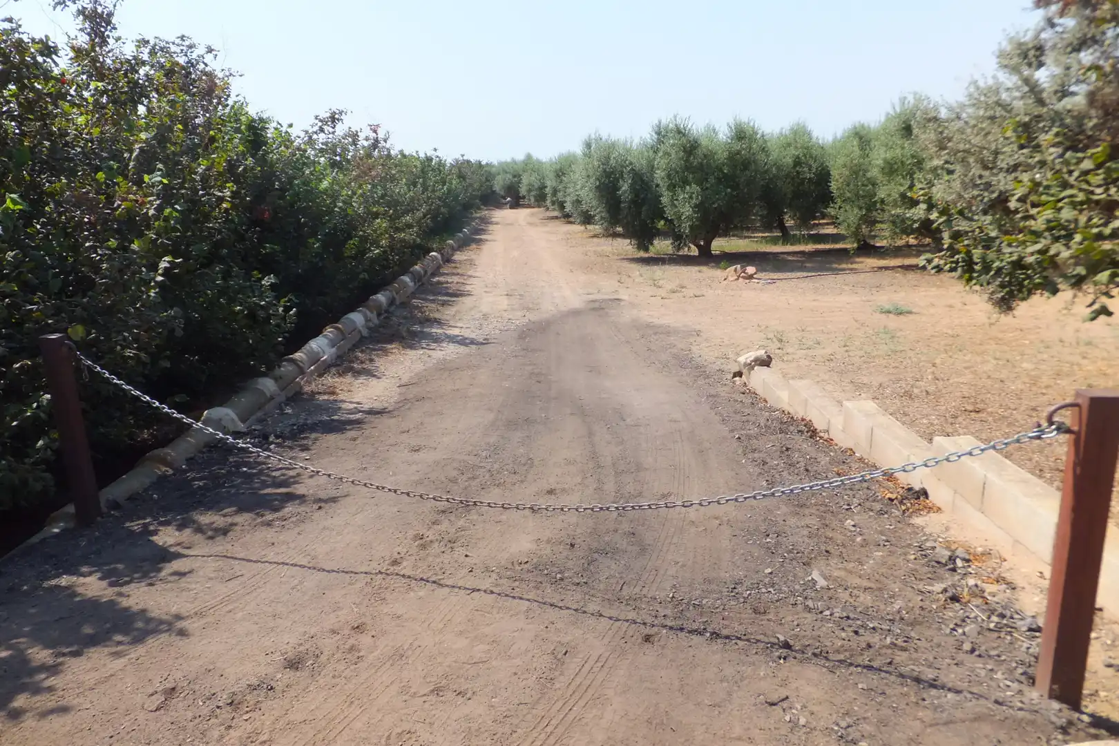 Terreno rústico en venta en Vial Camino, imagen 3