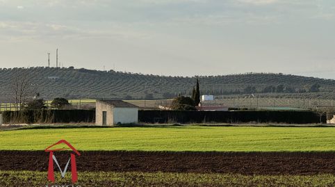 Foto 4 de Finca rústica en venda a Bobadilla - Bobadilla Estación - La Joya, Antequera