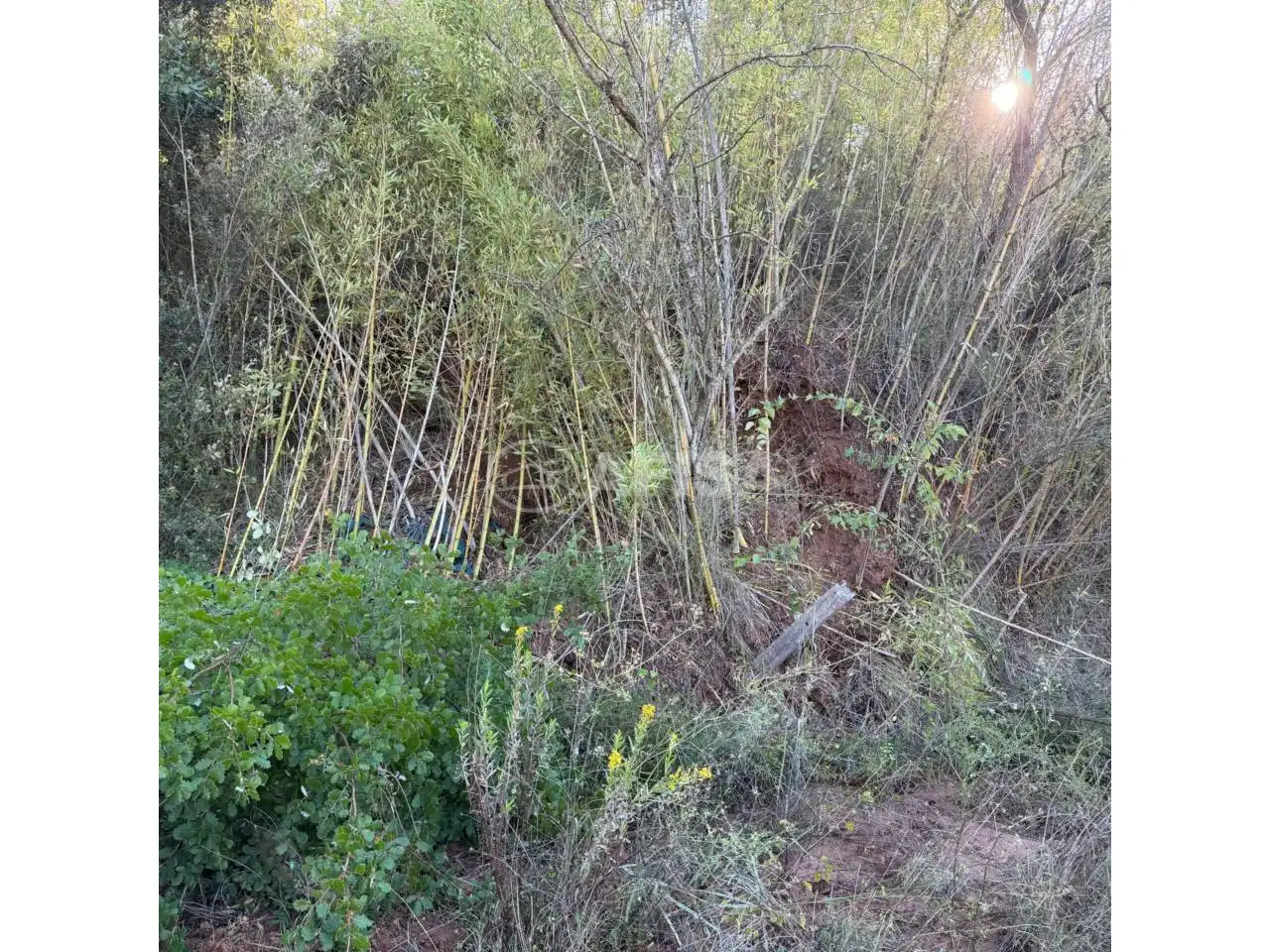 Terreno en venta en Cardedeu