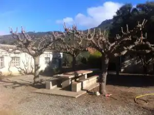 Jardí de Nau industrial en venda en La Riba