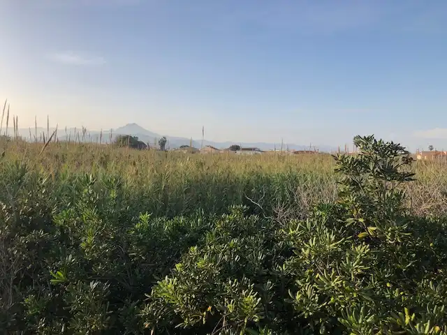 Casa o chalet en venta en Grau de Gandia - Venecia - Marenys de Rafalcaid