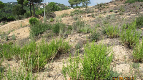 Photo 4 of Residential for sale in Montserrat Roig, 15, Mas Mora - Sant Daniel, Barcelona